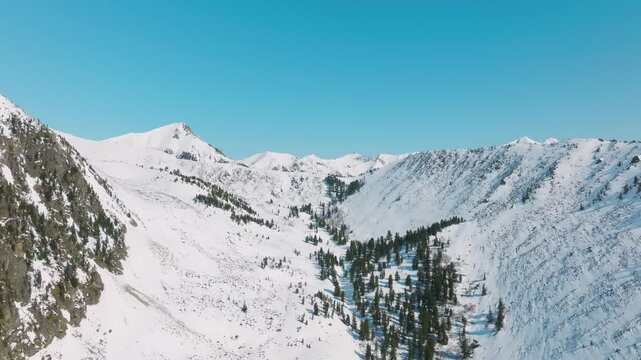 Drone footage of snow-covered ridges and pine forest in a high mountain valley near Galina Peak, Arshan, Republic of Buryatia, Russia, under clear blue sky