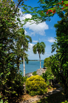 View of the Bay of San Juan, in Old San Juan Puerto Rico 