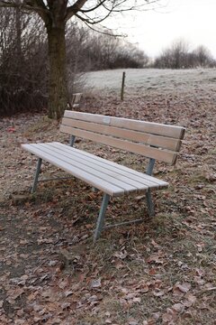 Wooden Bench Covered in Hoarfrost on Cold Winter Morning