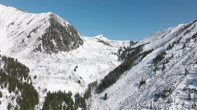 Drone footage of snow-covered Peak Galina and alpine ridges above Arshan, Republic of Buryatia, Russia, with conifer forest patches and clear blue sky