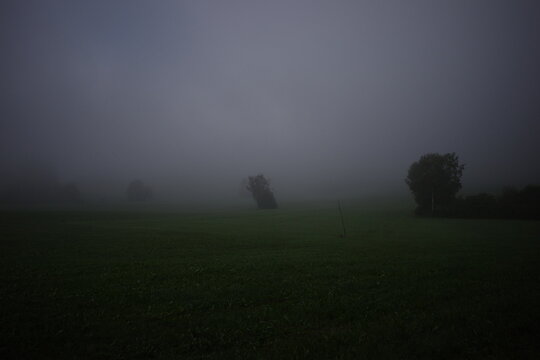 Misty Landscape with Trees at Dusk