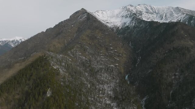Drone footage of rugged mountain ridge with patchy snow and conifer forest above a deep valley near Arshan, Republic of Buryatia, Russia, overcast spring weather