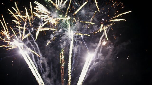 Bright fireworks bursting in the night sky