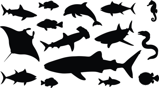 Sea creatures and fish silhouettes vector set with shark whale shark dolphin manta ray tuna and hammerhead shark