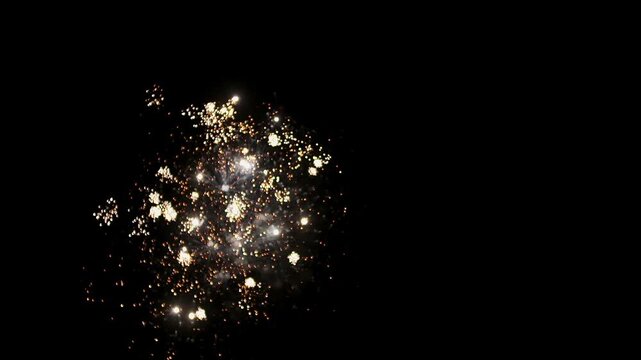 Bright fireworks burst in a dark night sky
