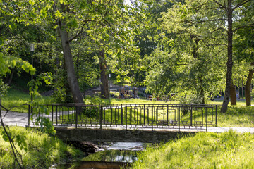 Obraz premium Bridge over stream in leafy city park on a sunny day