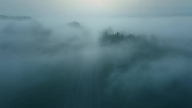 Dark foggy landscape with trees and misty atmosphere at dusk or dawn