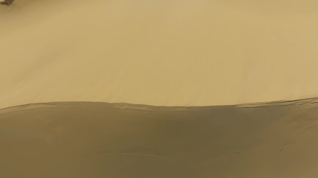 Wide shot of wind-shaped sand dunes and rippled desert surface at Sarykum Barkhan near Makhachkala, Republic of Dagestan, Russia, natural arid landscape