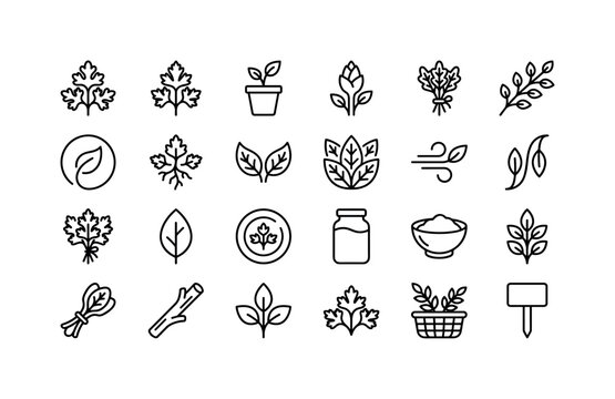 Botanical Garnish Toolkit. Line icon set of parsley leaf herb sprig potted germ bud bundle icon grid white background labeled variation green botanical decorative tied swirl rooted symmetric pattern