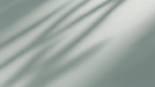 A serene natural scene with shadows on a surface at daytime