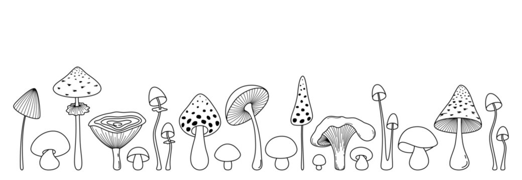 Horizontal border with isolated forest mushrooms line art vector set on white background, wild mushroom contour design element with copy space, hand drawn