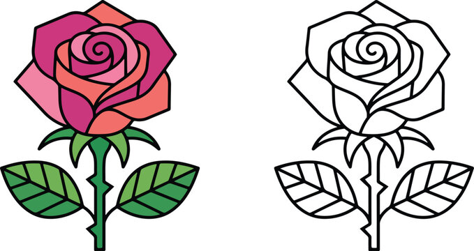 Rose Flower Flat Style Vector Illustration Set with Colored and Outline Design on Transparent Background