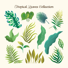 Tropical Leaves Vector Collection with Exotic Botanical Foliage and Jungle Plant Elements © zahrotm
