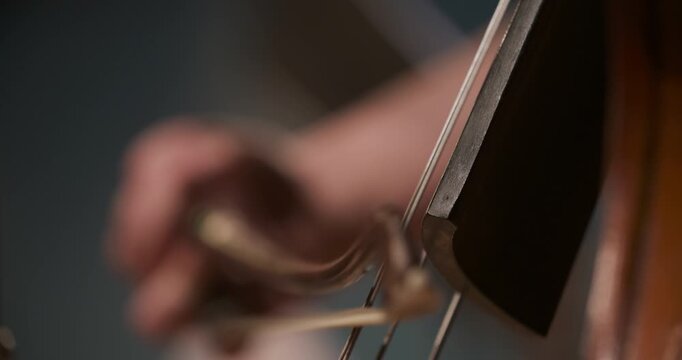 Close-up of a stringed instrument body and strings