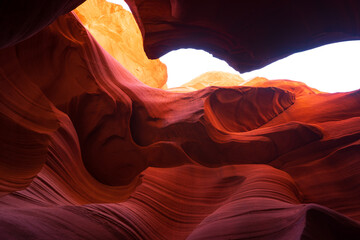 dinosaurs of antelope canyon © Scott