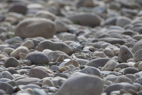pebbles on the beach