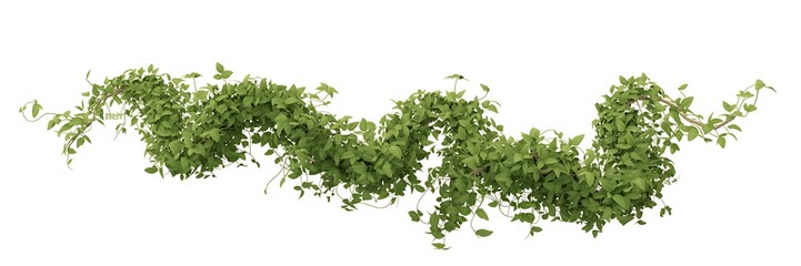 Fototapeta premium Fresh Green Foliage Border