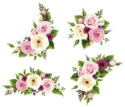 Floral design elements with pink, burgundy, and white rose flowers and lisianthus flowers. Set of vector illustrations isolated on white