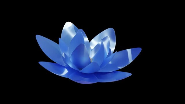 Blue Lotus Flower with Underwater Caustic Loop Animation, transparency/alpha