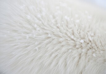 Fototapeta premium White Fur Texture with Snow. Close-up of Soft Animal Hair, Winter Background
