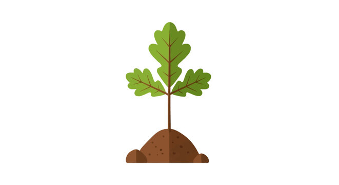Factual illustration of a young oak tree sapling with green lobed leaves emerging from a mound of brown earth and soil, isolated on a white background for environmental concepts.