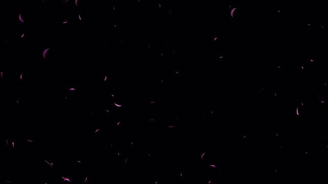 Falling pink flower petals scattering on black background romantic spring motion graphic ideal for wedding overlays and romantic scene backgrounds.
