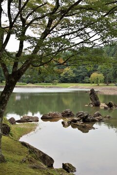 平泉の風景　毛越寺庭園
