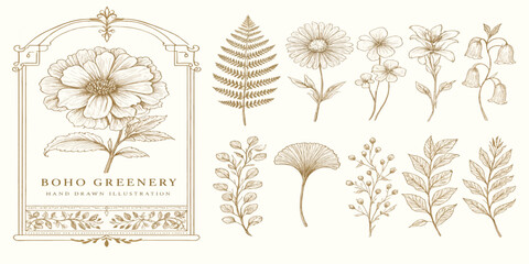 Vintage hand drawn botanical illustration set with floral frame botanical illustration collection decorative wildflower monochrome engraving herbarium template ornament composition. © MD OSMAN