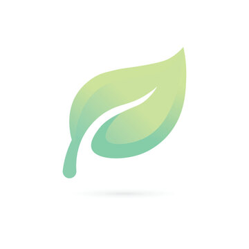 Green Leaf Vector Illustration Logo Isolated On White Background Asset