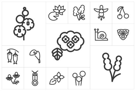 6月の花のミニマル線画アイコン20個セット（スミ黒、アウトライン、塗り絵、ナチュラル）