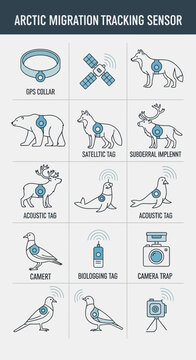 Arctic Migration Tracking Sensor Illustration: Animals with GPS, Satellite, Acoustic Tags
