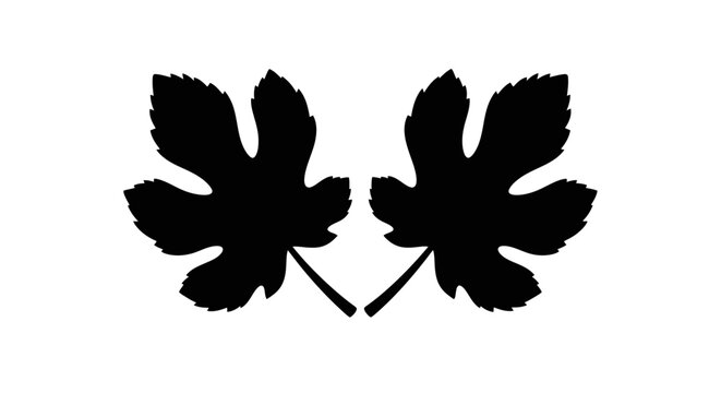 Black Silhouette of Two Fig Leaves, Isolated on White Background