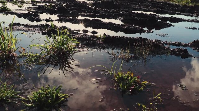 Timelapse Cloud Reflections in Flooded Farmland, Southern Chile
