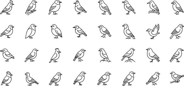 Minimal line bird icon set featuring sparrow pigeon finch robin vector collection for simple wildlife nature interface design