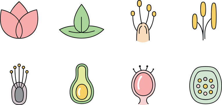Minimal abstract botanical icon collection with lotus leaf seed pod and floral elements for decorative design projects