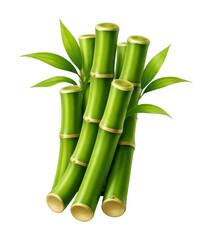 Fototapeta premium PNG Green bamboo stalks with leaves.