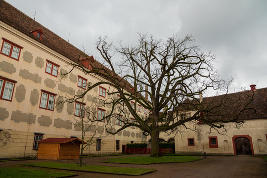 Schloss Eggenberg courtyard with ancient bare tree