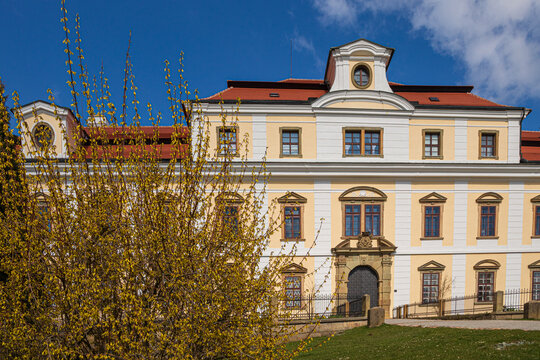 Broumov Monastery facade with blooming forsythia in spring