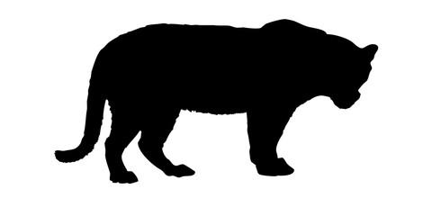 Black Panther Silhouette Walking © Graphicdesigner83