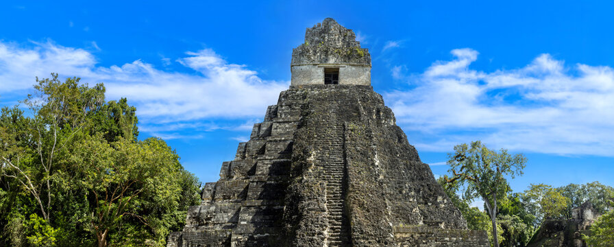 A panoramic wide angle view of the historic stone stepped pyramid known as Temple I or Temple of the Great Jaguar surrounded by tropical jungle trees at Tikal National Park in Guatemala