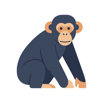 Chimpanzee vector illustration in a simple flat cartoon style, showing a seated pose with dark fur, expressive face, and long arms. Wildlife animal graphic isolated background