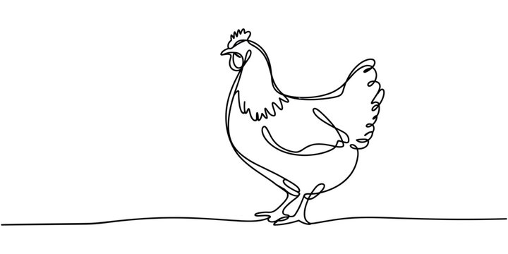 Black line of a standing chicken farm animal continuous one line drawing