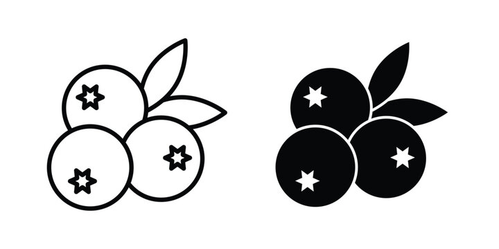 Blueberries icon