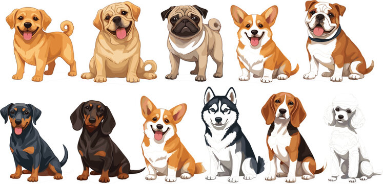 Cute cartoon dog breeds vector illustration collection featuring golden retriever pug corgi bulldog dachshund husky beagle and poodle characters isolated on white