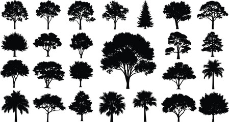 Fototapeta premium Collection of diverse tree silhouettes in black isolated on white background for design, botanical illustration, and educational use