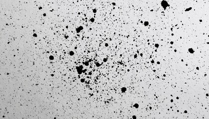 Obraz premium Black paint splatter on white textured background, abstract grunge
