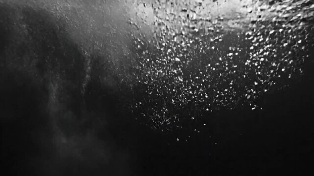 Black and white underwater view of bubbles rising towards the sunlit ocean surface, creating a visual explosion