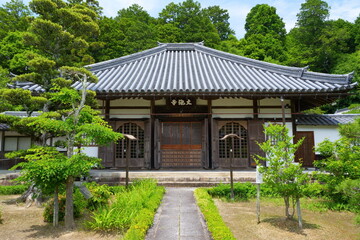 Fototapeta premium 滋賀県甲賀市にある大池寺の本堂【6月】