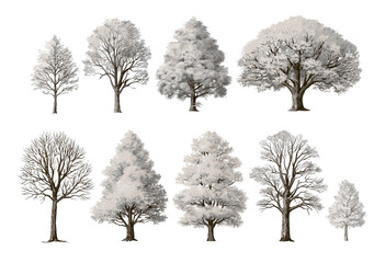 Obraz premium Set of winter trees silhouettes with snow effect, isolated PNG