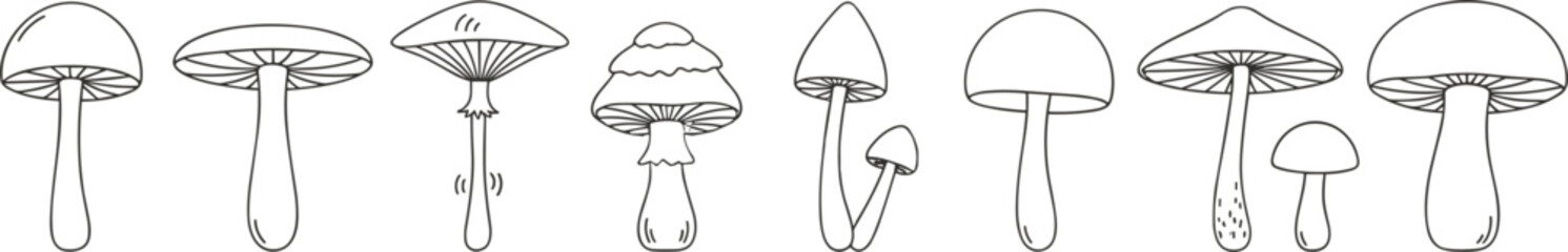 Mushroom line icon set vector illustration of organic fungi edible champignon amanita forest nature plants and botanical elements © MOMINA